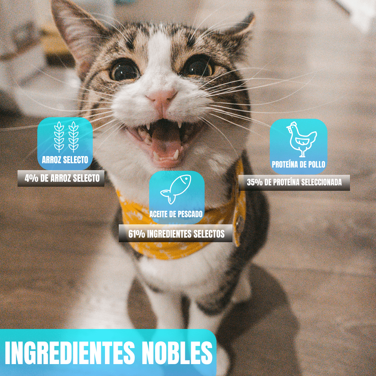 Paquete Nupec Felino Kitten 3kg + Regalo bolita catnip - FridaPets - Gato - Alimento - Seco - FridaPets