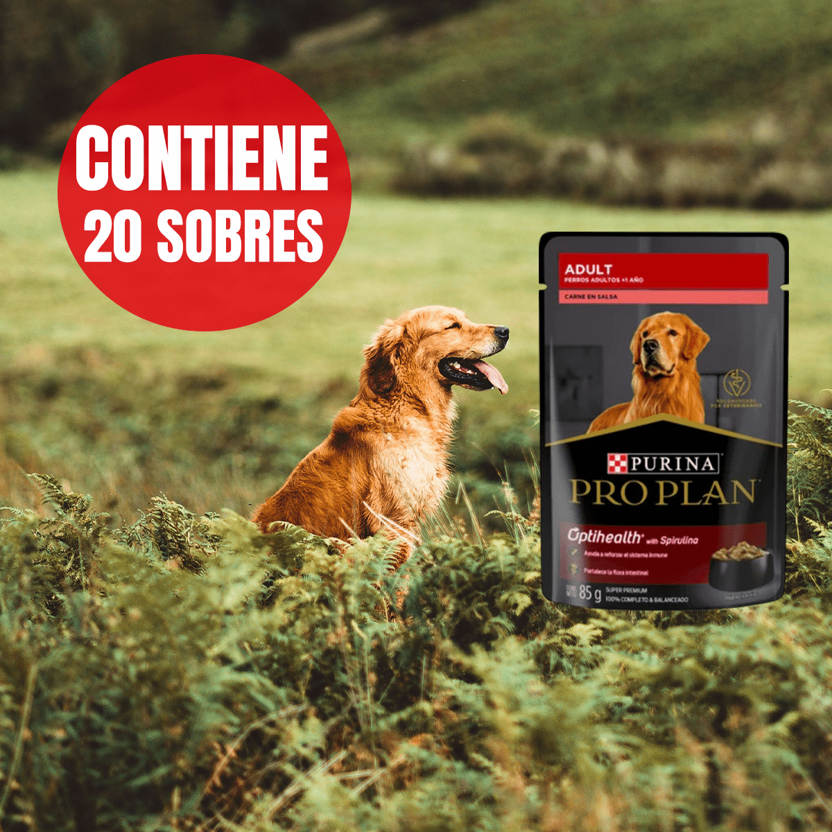 Paquete Pro Plan 20 Pouches Adulto Sabor Carne 85gr + Regalo - FridaPets - Perro - Alimento - Húmedo - ProPlan