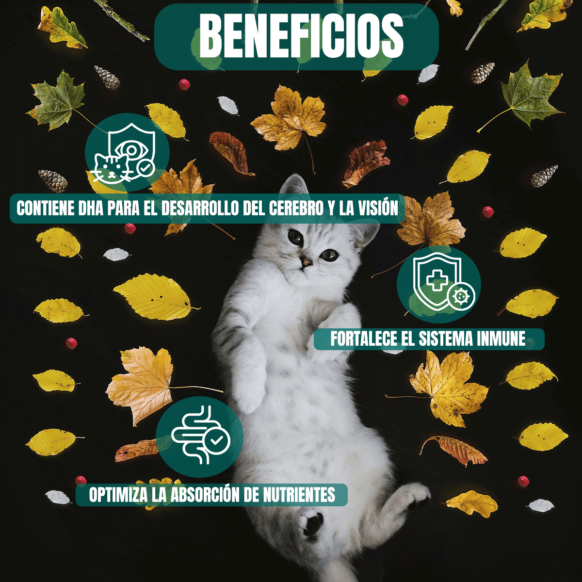 Pro Plan Croquetas Para Gato Kitten 3kg (Hasta 12m) + Regalo - FridaPets - Gato - Alimento - Seco - ProPlan