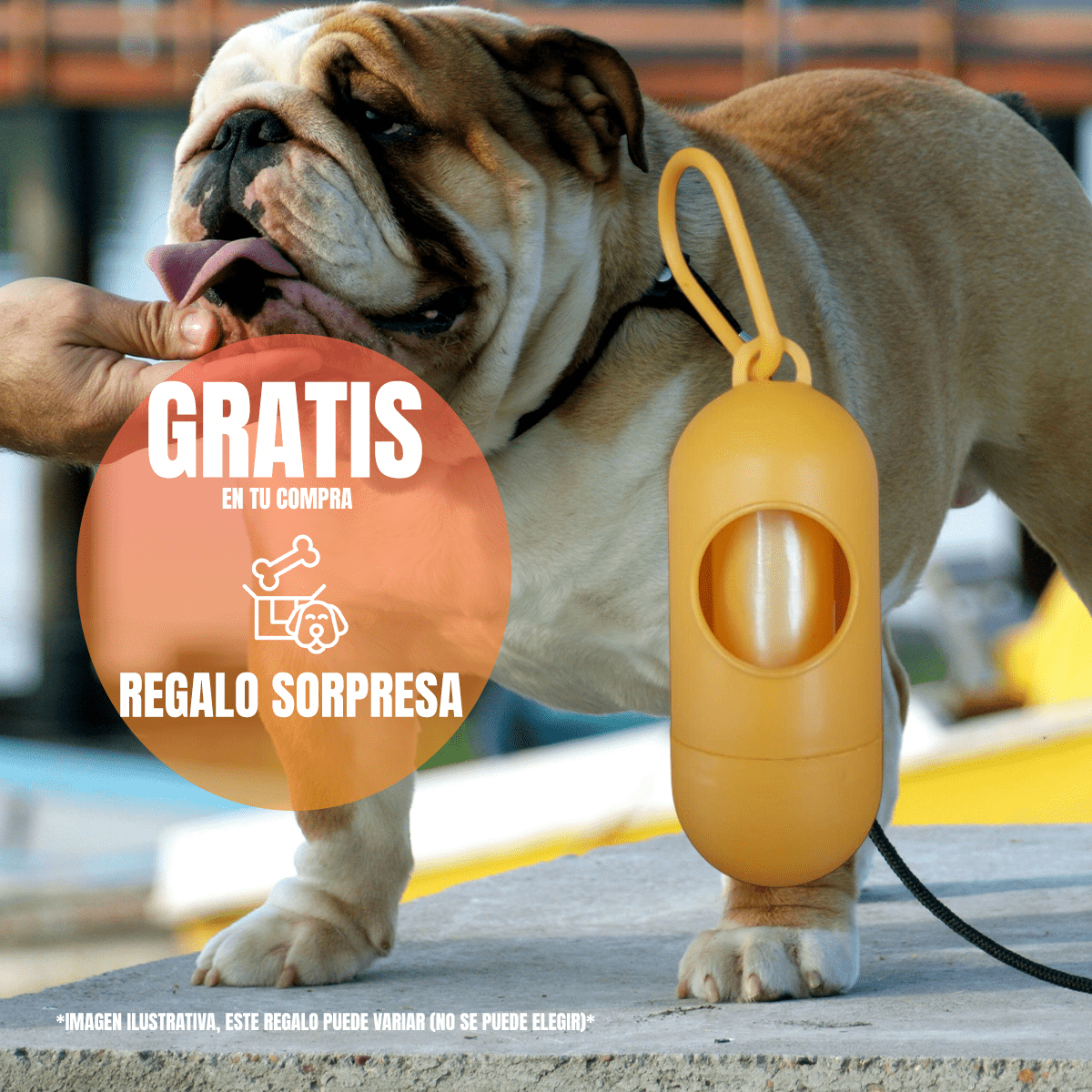 Proplan adulto piel sensible 3kg Med/gde + regalo - FridaPets - Perro - Alimento - Seco - ProPlan