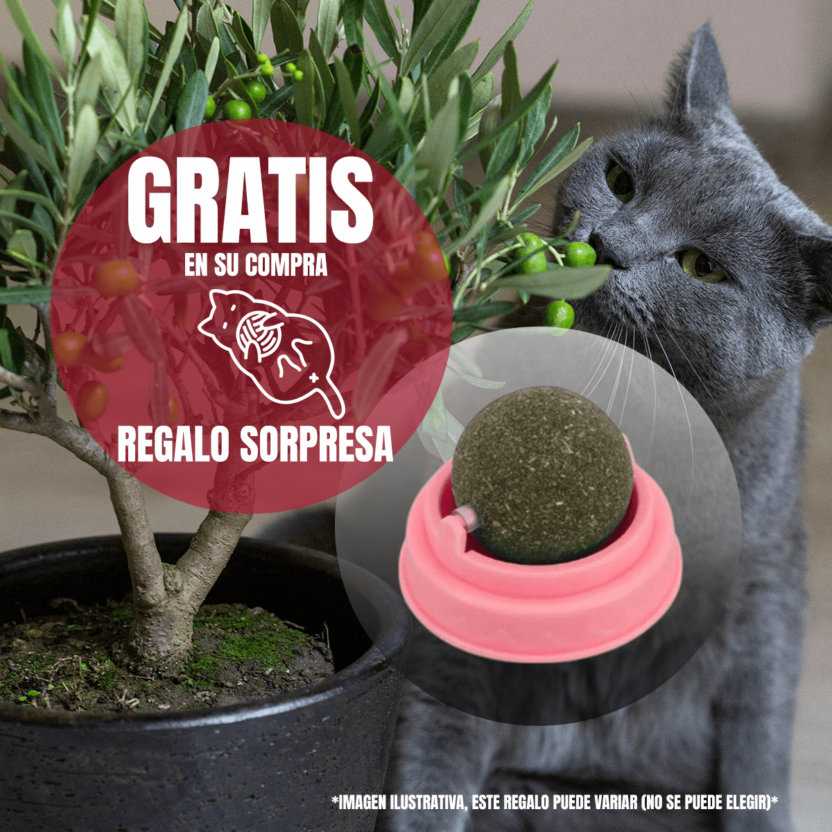 PROPLAN CROQUETAS GATO ADULTO 3KG (De 1 A 7 Años) + REGALO - FridaPets - Gato - Alimento - Seco - ProPlan