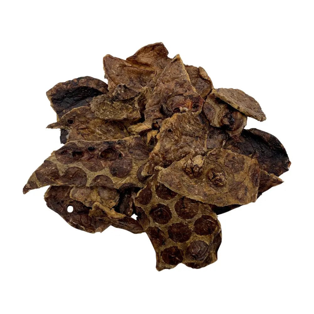 Pulmón de Res Deshidratado Frida Naturals | Snack Natural para Perros - FridaPets - Perro - Snacks - Frida Naturals