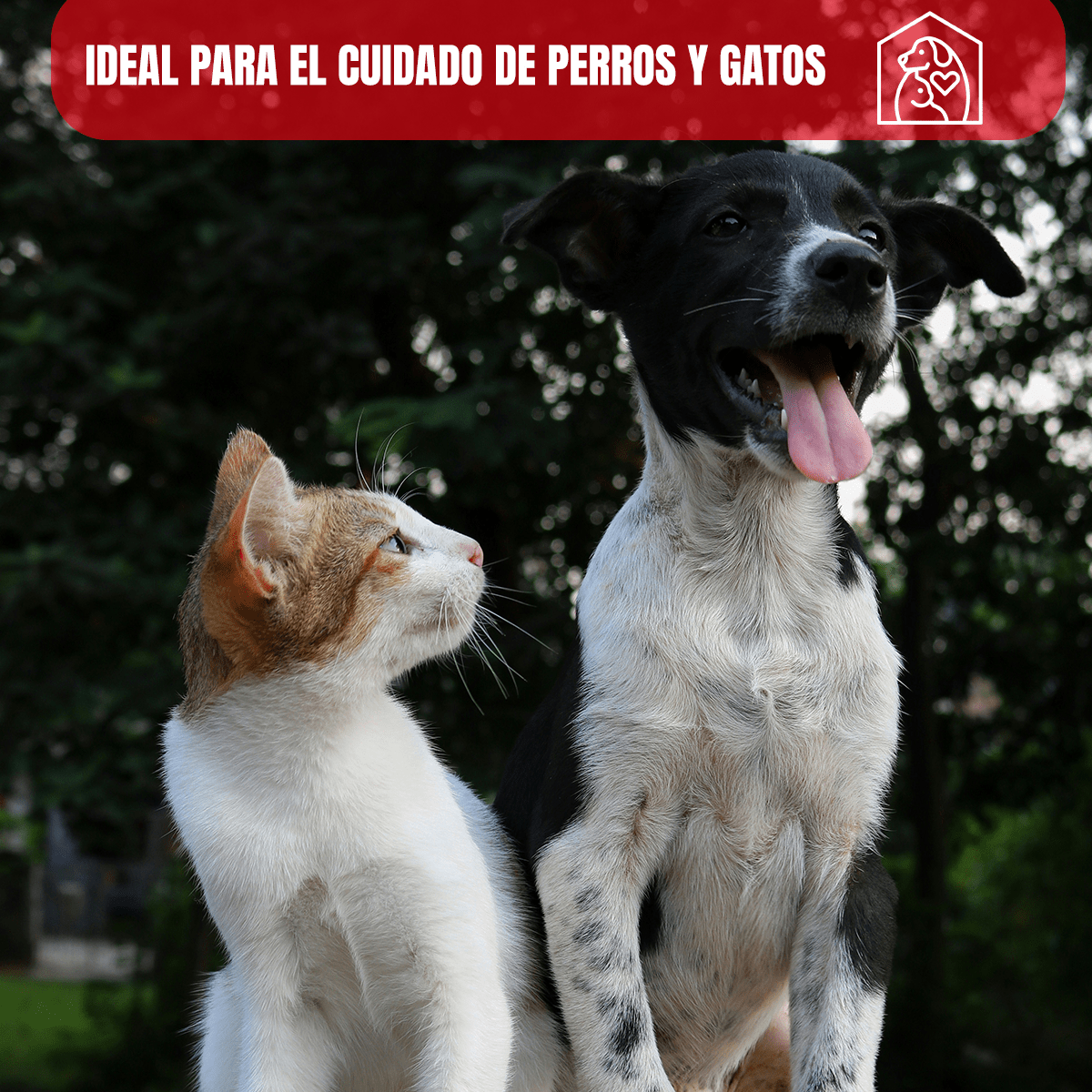 Shampoo Bolfo Ectoparasiticida - Protección y Estilo para Mascotas - FridaPets - Perro - Salud y bienestar - Bolfo