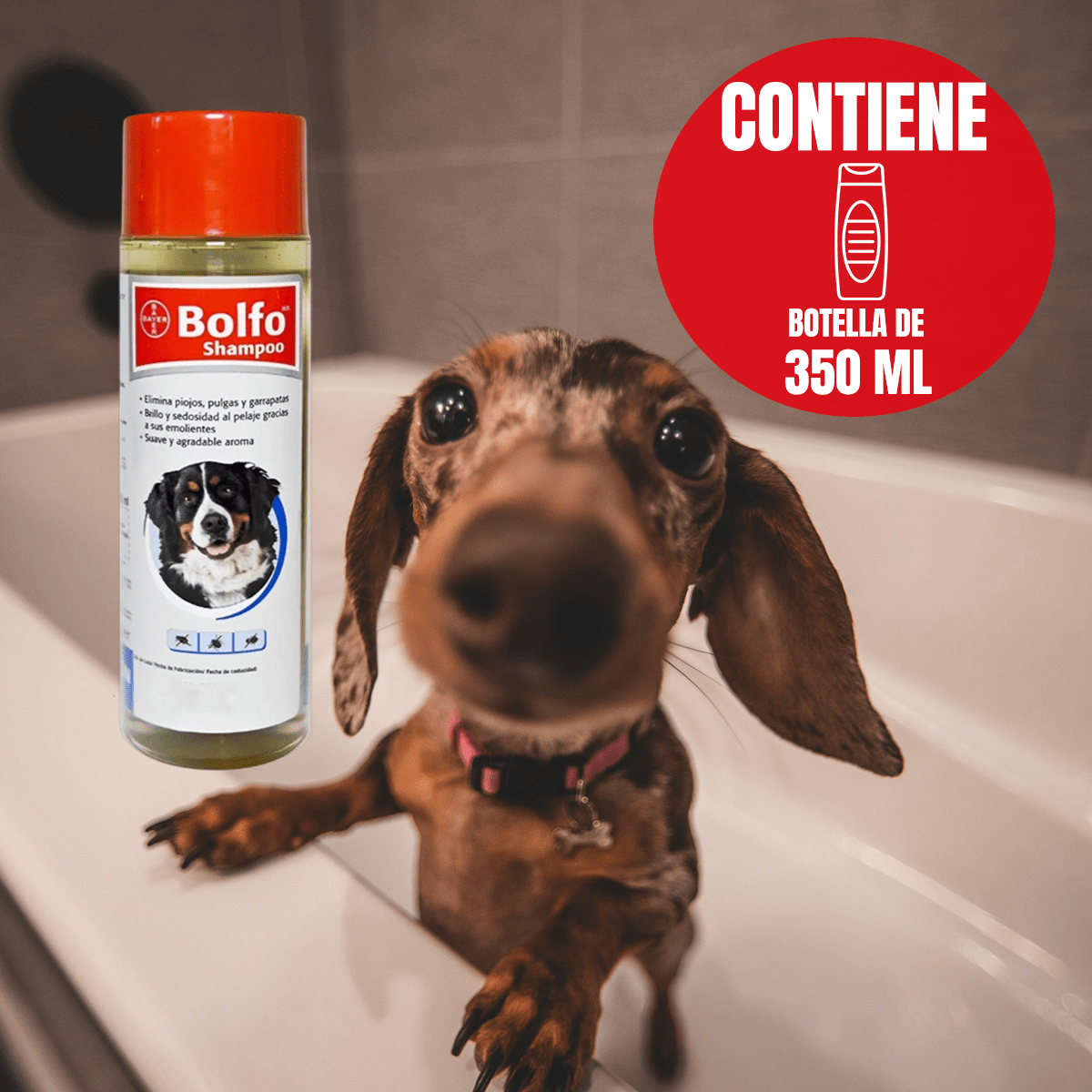 Shampoo Bolfo Ectoparasiticida - Protección y Estilo para Mascotas - FridaPets - Perro - Salud y bienestar - Bolfo