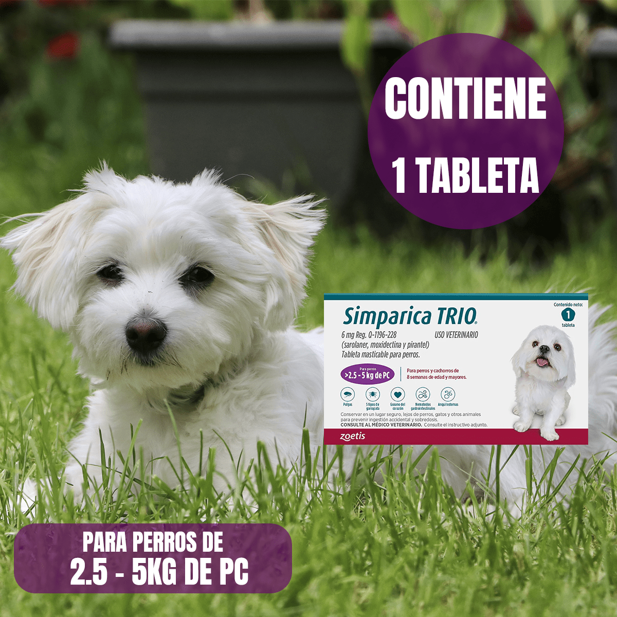 SIMPARICA TRIO 1 TABLETA ANTIPULGAS Y GARRAPATAS PARA PERROS - FridaPets - Perro - Salud y bienestar - Zoetis