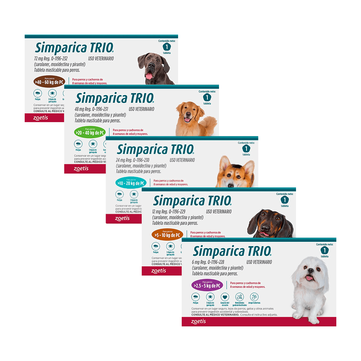 SIMPARICA TRIO 1 TABLETA ANTIPULGAS Y GARRAPATAS PARA PERROS - FridaPets - Perro - Salud y bienestar - Zoetis