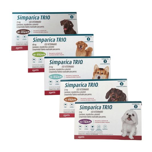 Simparica TRIO - FridaPets - Perro - Salud y bienestar - Zoetis