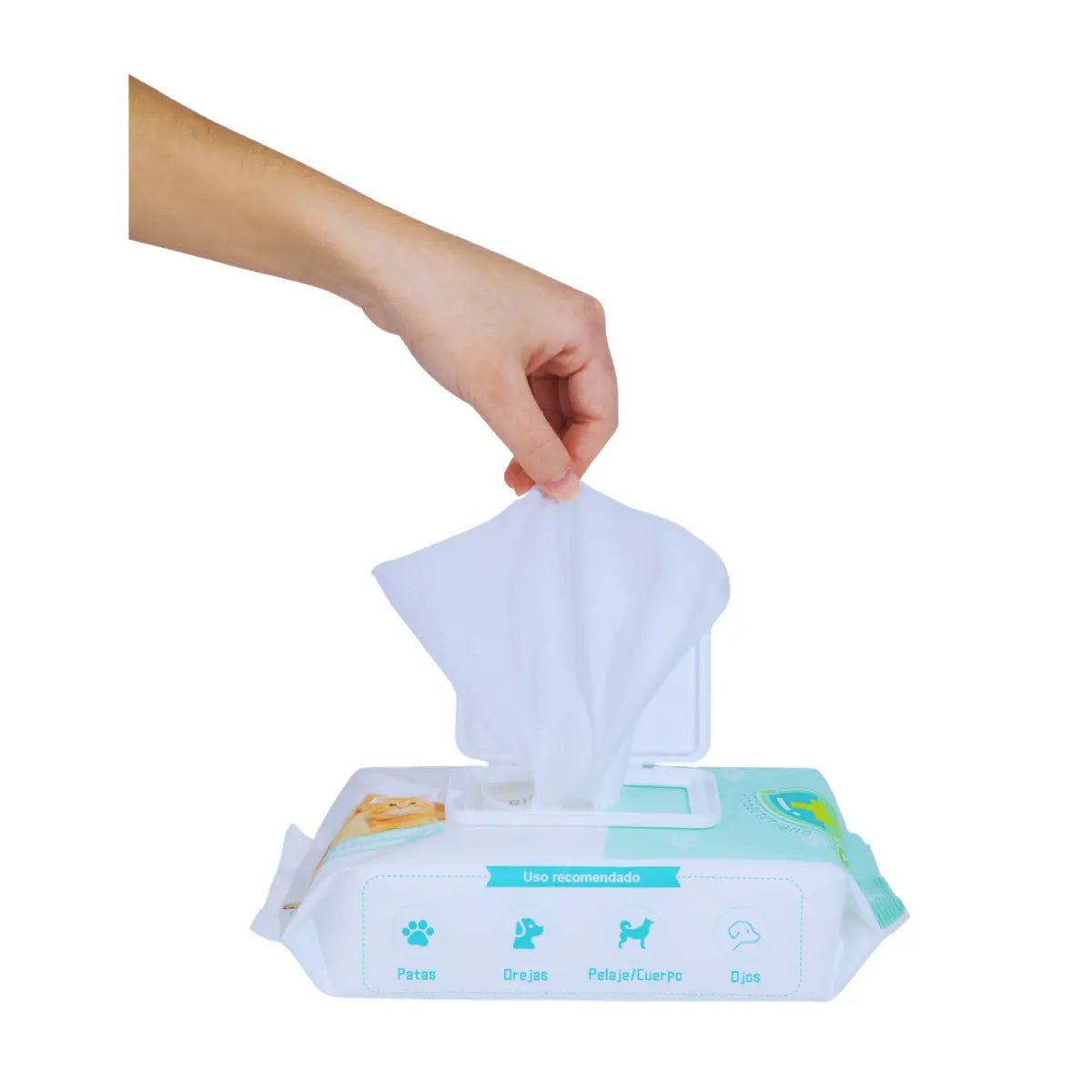 Toallitas Húmedas Para Mascotas Frida Wipes - FridaPets - Perro y gato - Accesorios - FridaPets