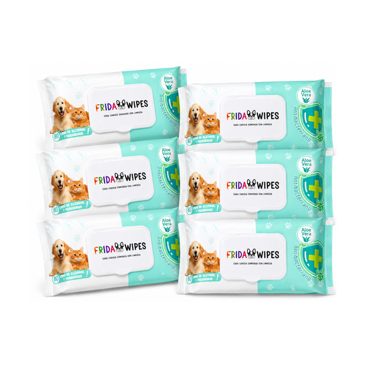 Frida Wipes Aloe Vera, 6 paquetes de 80 toallitas