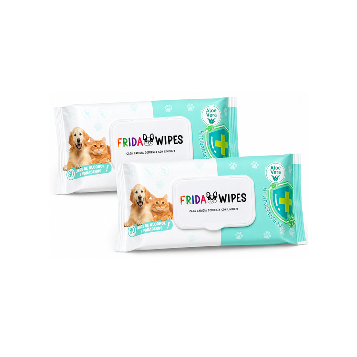 Frida Wipes Toallitas Húmedas Con Olor Aloe Vera