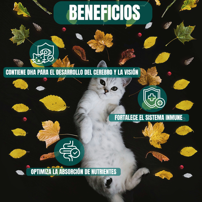 Pro Plan Croquetas Para Gato Kitten 3kg (Hasta 12m) + Regalo