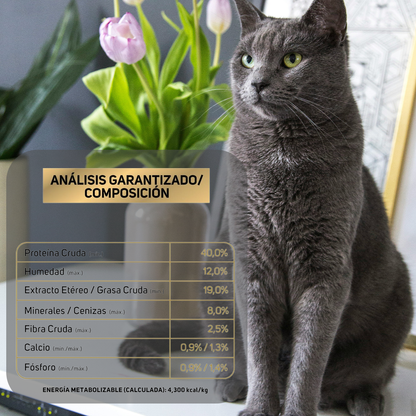 Pro Plan Croquetas Para Gato Kitten 3kg (Hasta 12m) + Regalo