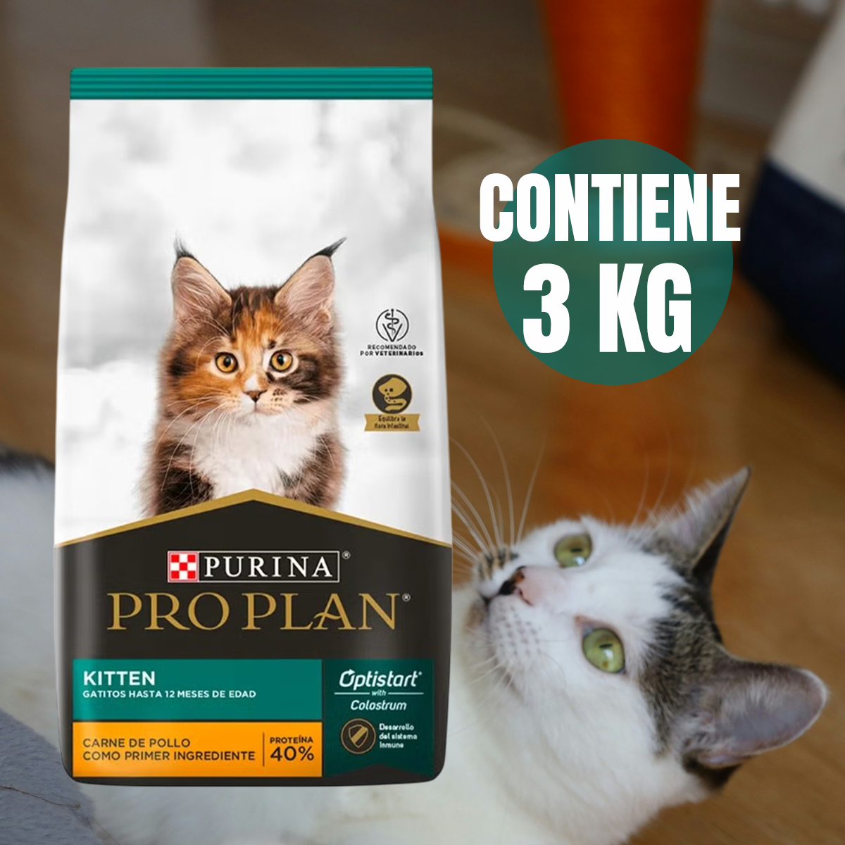 Pro Plan Croquetas Para Gato Kitten 3kg (Hasta 12m) + Regalo