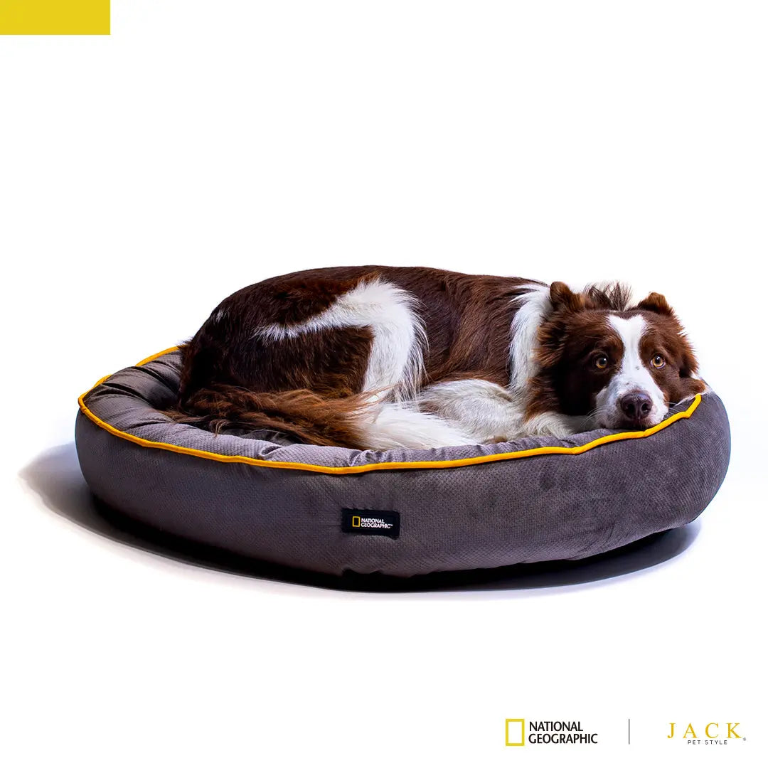 Cama National Geographic Gris Metal FridaPets