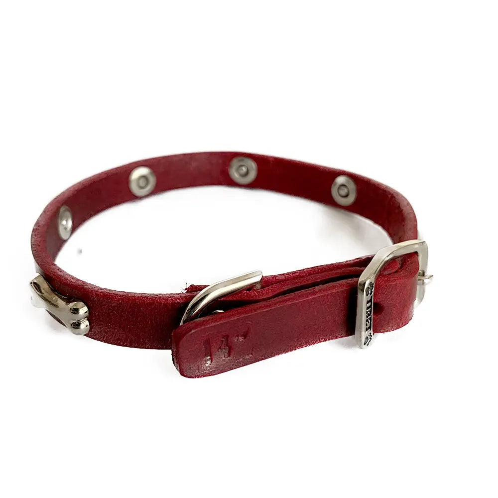 Collar Clasico C- Huesitos Niq. Tinto New FridaPets