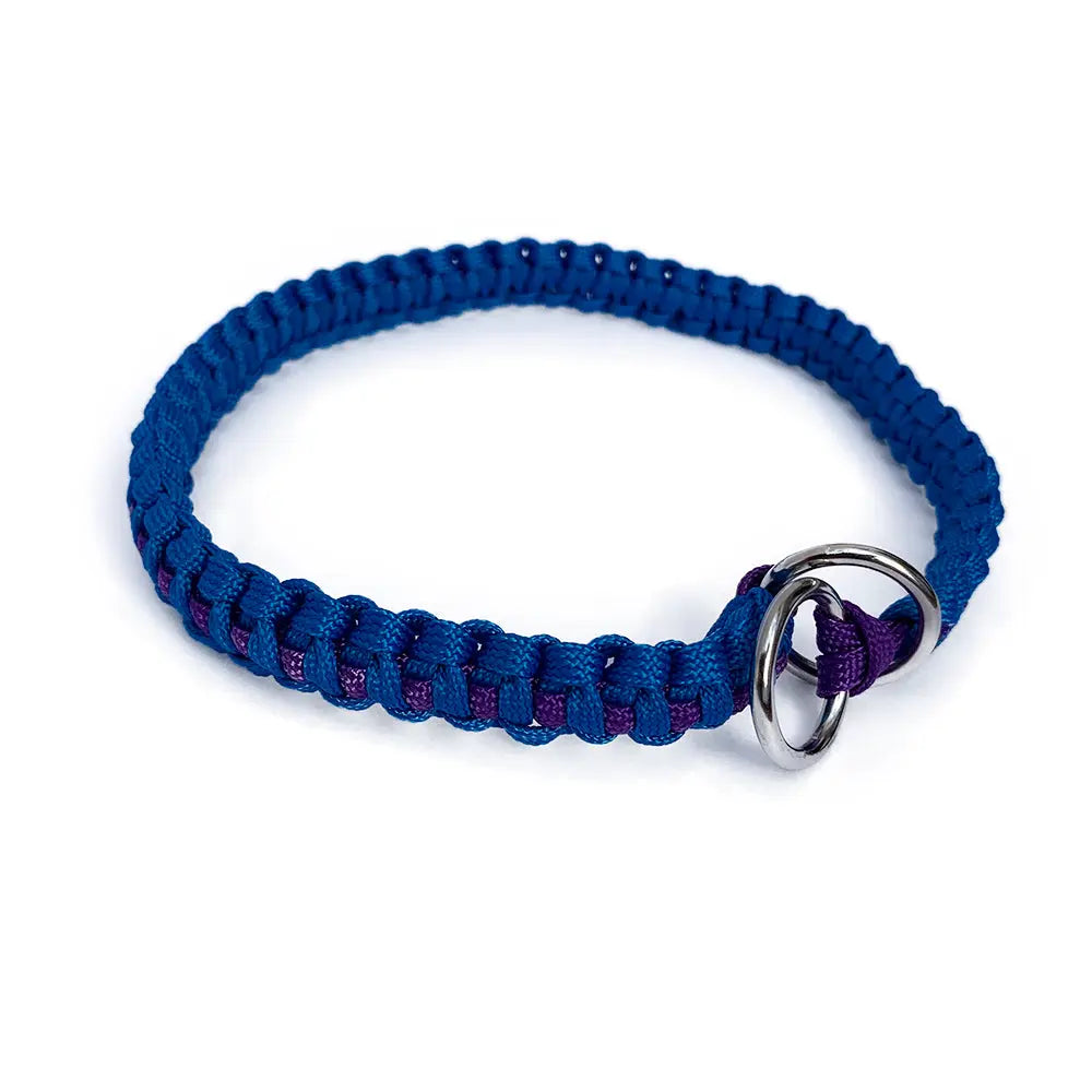 Collar Cochitta Adiestramiento Azul Y Morado S FridaPets