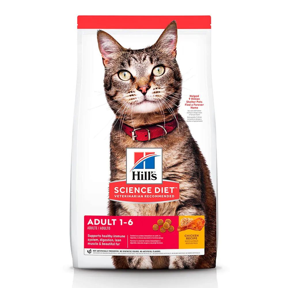 Hill's Science Diet Alimento para gato adulto seco original FridaPets