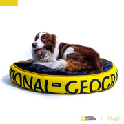 Perro recostado en una cama National Geographic amarilla y negra