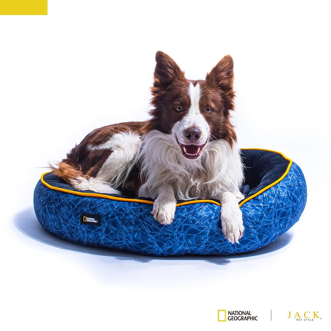 Cama National Geographic Azúl Misterio - FridaPets - Perro - Accesorios - FridaPets