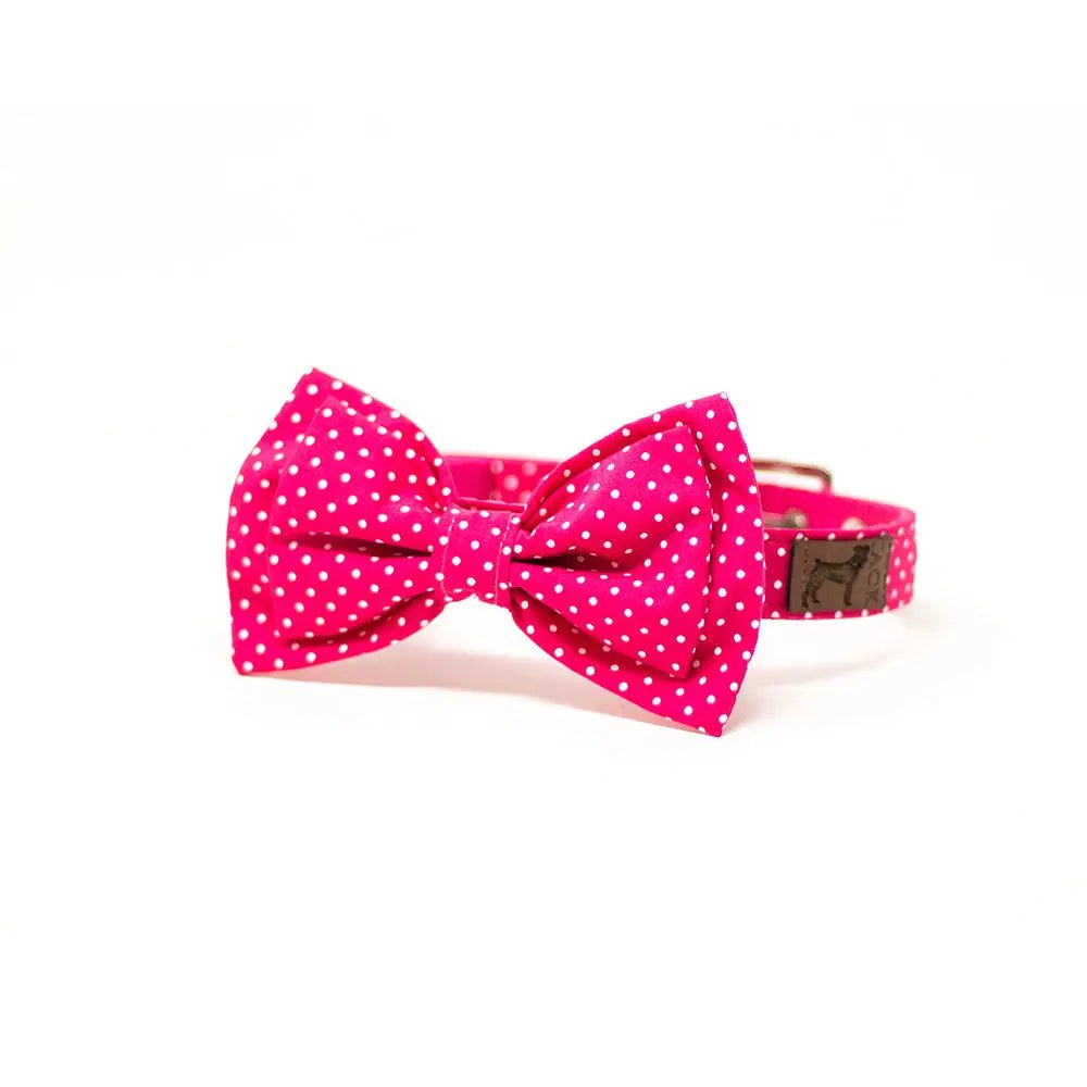 Collar Bow Tie Daisy - FridaPets - Perro y gato - Guardarropa - FridaPets
