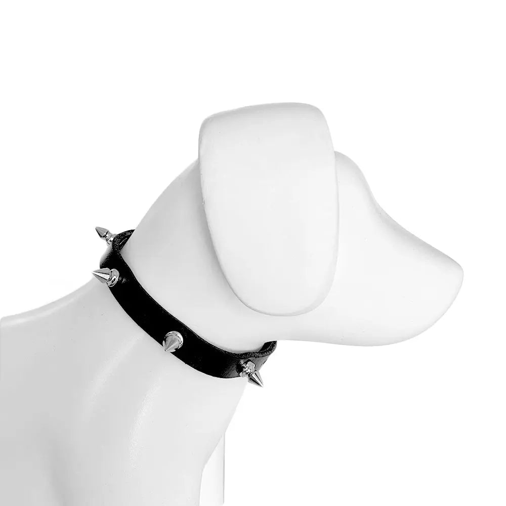 Collar de piel con picos - FridaPets - Perro - Guardarropa - FridaPets
