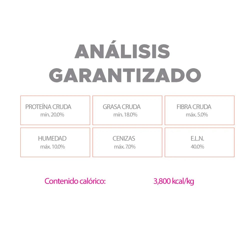 NUPEC SENSITIVE RAZAS PEQUEÑAS - FridaPets - Perro - Alimento - Seco - Nupec