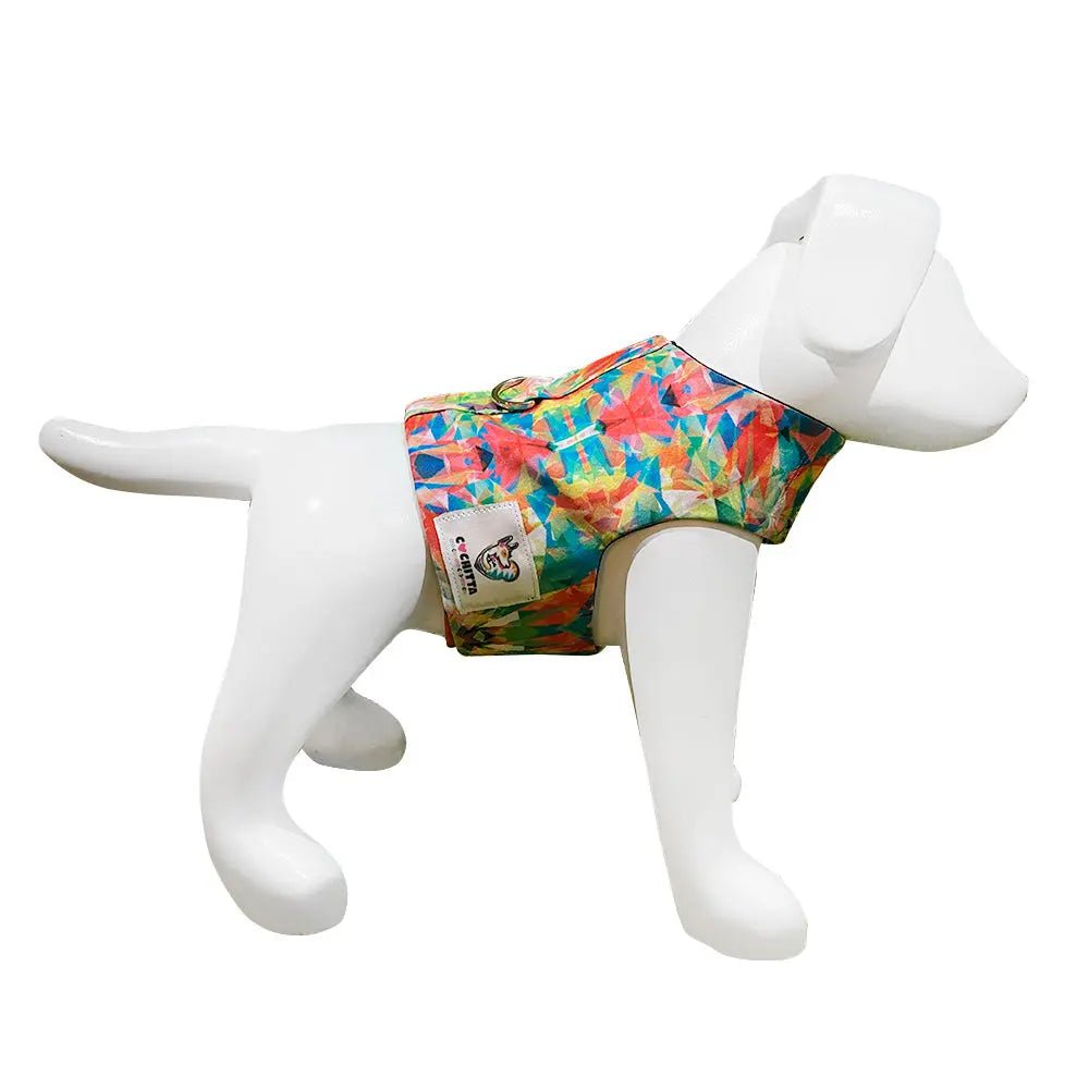 Pechera Cochitta Cancun S - FridaPets - Perro - Accesorios - FridaPets