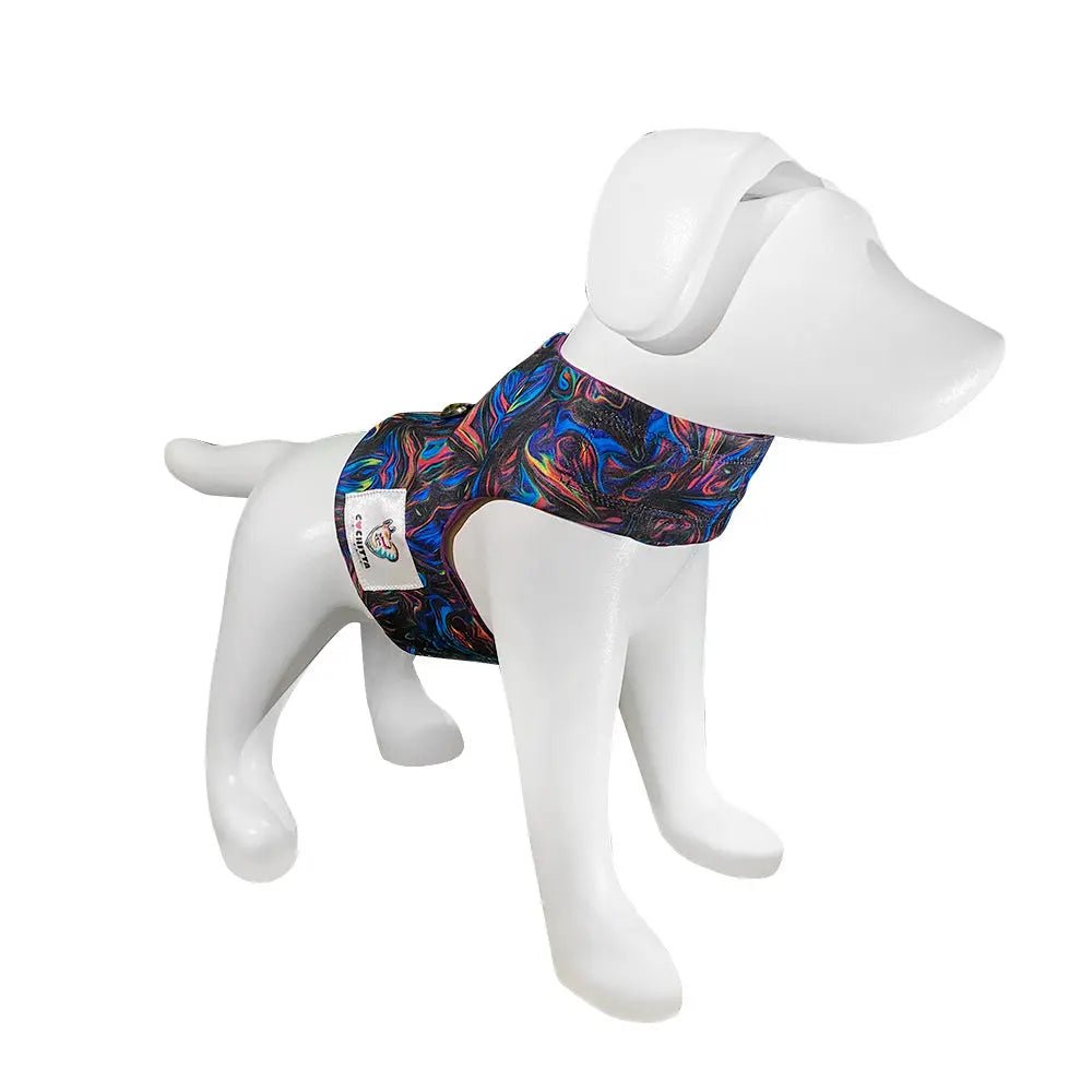Pechera Cochitta Oaxaca S - FridaPets - Perro - Accesorios - FridaPets